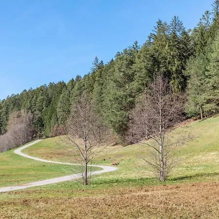 Schwarzwald Woelkchen Apartman