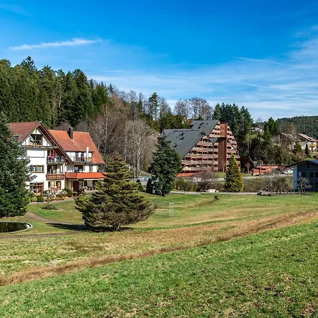 Schwarzwald Woelkchen Apartament