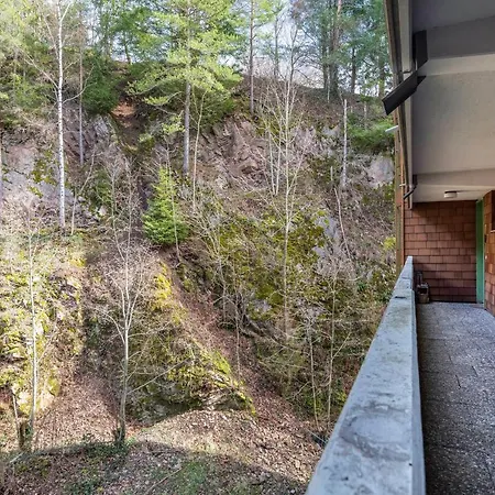 Schwarzwald Woelkchen Apartament