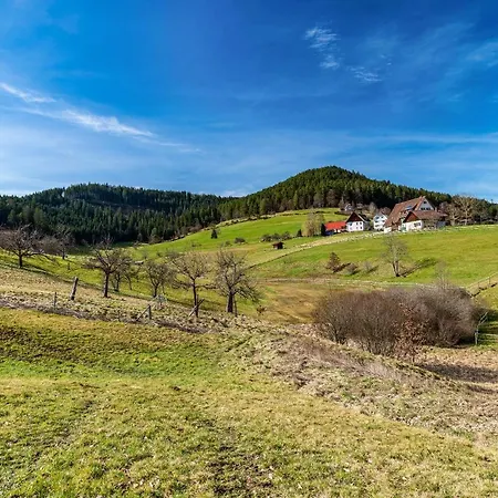 Schwarzwald Woelkchen Apartament