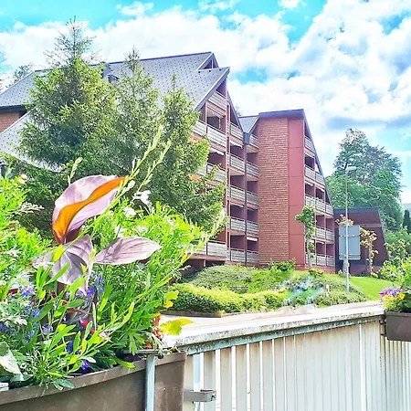Schwarzwald Woelkchen Baiersbronn