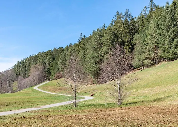 Schwarzwald Woelkchen Apartament