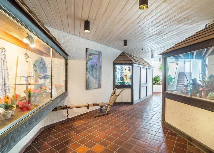 Schwarzwald Woelkchen Baiersbronn